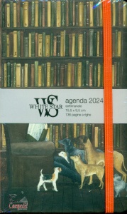 Ingrandisci immagine