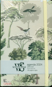 Ingrandisci immagine