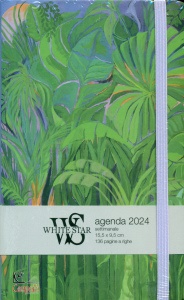 Ingrandisci immagine