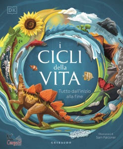 Ingrandisci immagine