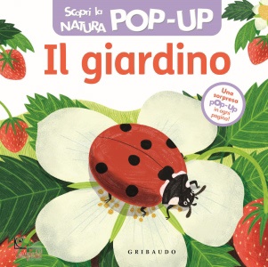 Ingrandisci immagine