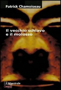 Ingrandisci immagine