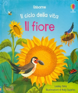 Ingrandisci immagine