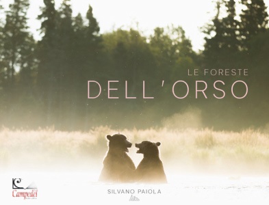 Ingrandisci immagine