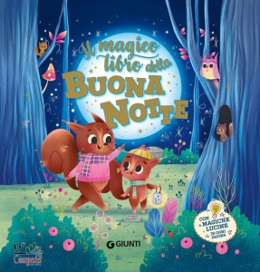 Ingrandisci immagine