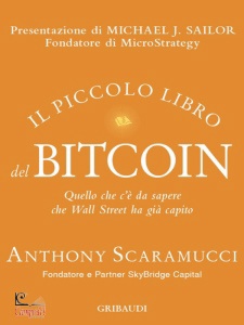 Ingrandisci immagine