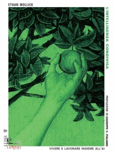 Ingrandisci immagine