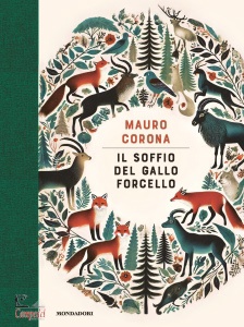 Ingrandisci immagine