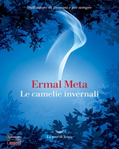 Ingrandisci immagine