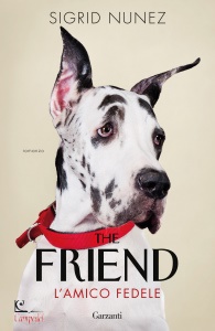 Ingrandisci immagine