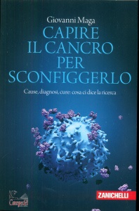 Ingrandisci immagine