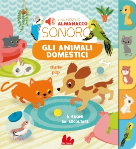 Ingrandisci immagine