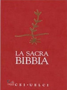 Ingrandisci immagine