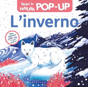 Ingrandisci immagine