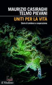 Ingrandisci immagine