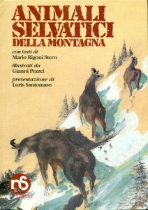 Ingrandisci immagine