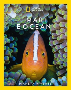 Ingrandisci immagine