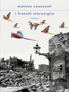 Ingrandisci immagine