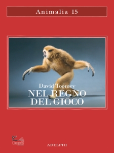 Ingrandisci immagine