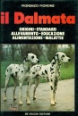 FIORONE FIORENZO, Il Dalmata