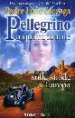 immagine di Pellegrino a quattroruote sulle strade d