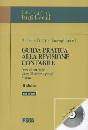 BORGHI - FARNETI, Guida pratica alla revisione contabile