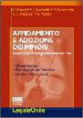 AA.VV., Affidamento e adozione dei minori