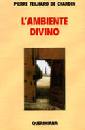 TEILHARD DE CHARDIN, AMBIENTE DIVINO