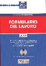 MONTEMARANO EMANUELE, Formulario del lavoro 2008