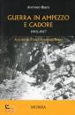 BERTI ANTONIO, Guerra in Ampezzo e Cadore. 1915-1917