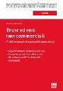 BANCONE VINCENZO, Trust ed enti non commerciali prifili comparativi