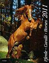 , Pferde Cavalli Horses 2010. Calendario