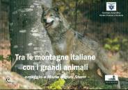 SCORTEGAGNA U. (CUR), Tra le montagne con i grandi animali