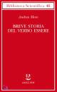Moro Andrea, Breve storia del verbo essere