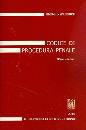 SPANGHER GIORGIO, Codice di procedura penale