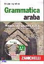 DEHEUVELS LUC-WILLY, Grammatica araba