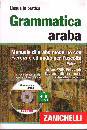 DEHEUVELS LUC-WILLY, Grammatica araba