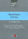 CECCHELLA CLAUDIO, Processo civile