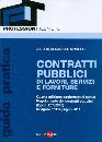 SPINELLI DANIELE, Contratti pubblici di lavori,servizi e forniture