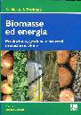 immagine di Biomasse ed energia