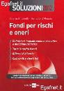 immagine di SOLUZIONI 2012 Fondi rischi e oneri