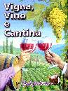 immagine di Vigna vino e cantina