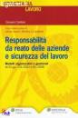 CATELLANI GIOVANNI, Responsabilit da reato delle aziende e sicurezza