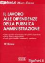 SIMONE, Il lavoro alle dipendenze della P. Amministrazione