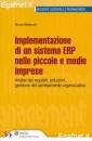 STEFANUTTI BRUNO, Implementazione di un sistema Erp nelle PMI