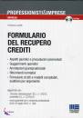 LANDOLFI FRANCESCO, Formulario del recupero crediti