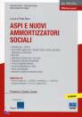 PIZZI-RUSSO, Aspi e nuovi armotizzatori sociali
