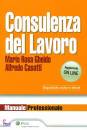 GHEIDO - CASOTTI, Consulenza del lavoro