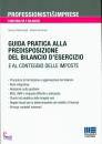 MARCHESELLI - KIRCHM, Guida pratica alla predisposizione del bilancio