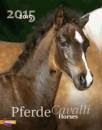 , Pferde Cavalli Horses 2015 . Calendario